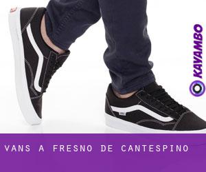 Vans a Fresno de Cantespino