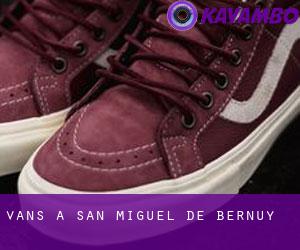 Vans a San Miguel de Bernuy