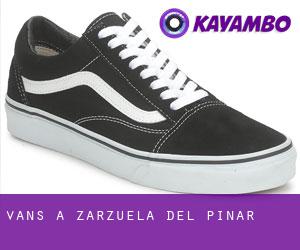 Vans a Zarzuela del Pinar