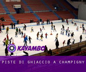 Piste di ghiaccio a Champigny