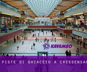 Piste di ghiaccio a Cressensac