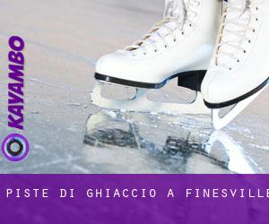 Piste di ghiaccio a Finesville