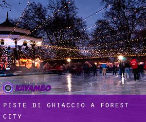 Piste di ghiaccio a Forest City