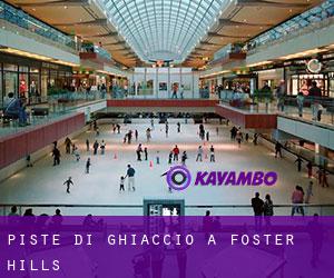 Piste di ghiaccio a Foster Hills