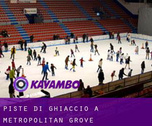 Piste di ghiaccio a Metropolitan Grove