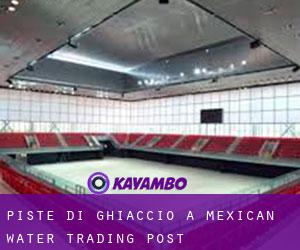 Piste di ghiaccio a Mexican Water Trading Post