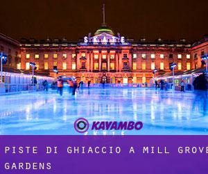 Piste di ghiaccio a Mill Grove Gardens