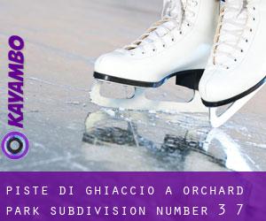 Piste di ghiaccio a Orchard Park Subdivision Number 3-7