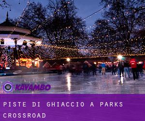 Piste di ghiaccio a Parks Crossroad