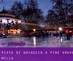 Piste di ghiaccio a Pine Grove Mills