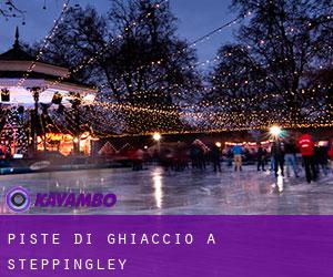 Piste di ghiaccio a Steppingley