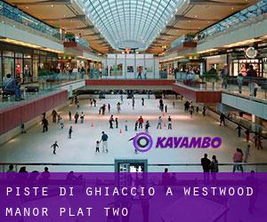 Piste di ghiaccio a Westwood Manor Plat Two