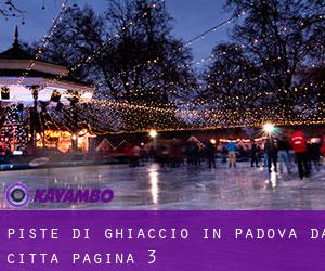Piste di ghiaccio in Padova da città - pagina 3