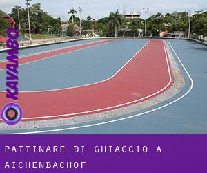 Pattinare di ghiaccio a Aichenbachof