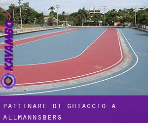 Pattinare di ghiaccio a Allmannsberg