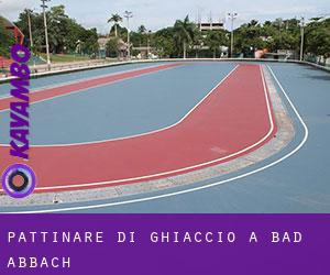 Pattinare di ghiaccio a Bad Abbach