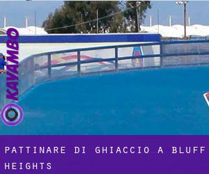 Pattinare di ghiaccio a Bluff Heights