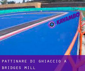 Pattinare di ghiaccio a Bridges Mill