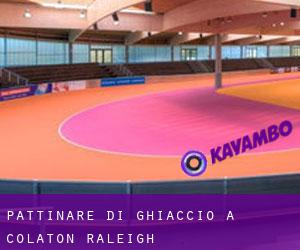 Pattinare di ghiaccio a Colaton Raleigh