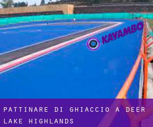 Pattinare di ghiaccio a Deer Lake Highlands