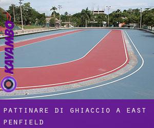 Pattinare di ghiaccio a East Penfield