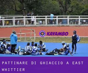 Pattinare di ghiaccio a East Whittier