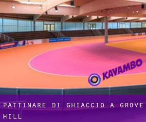 Pattinare di ghiaccio a Grove Hill