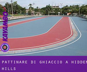 Pattinare di ghiaccio a Hidden Hills