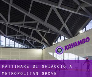 Pattinare di ghiaccio a Metropolitan Grove