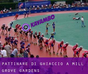 Pattinare di ghiaccio a Mill Grove Gardens