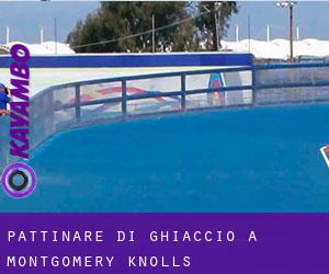 Pattinare di ghiaccio a Montgomery Knolls