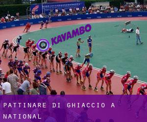 Pattinare di ghiaccio a National