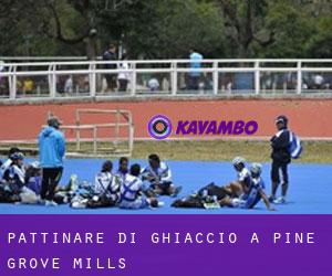 Pattinare di ghiaccio a Pine Grove Mills