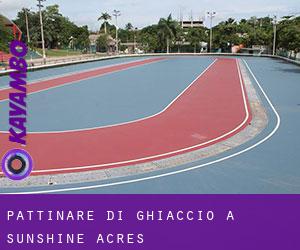 Pattinare di ghiaccio a Sunshine Acres