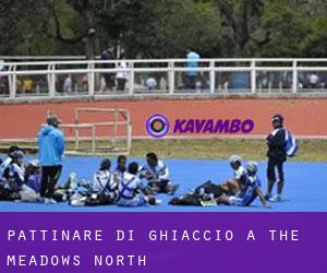 Pattinare di ghiaccio a The Meadows North