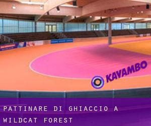 Pattinare di ghiaccio a Wildcat Forest