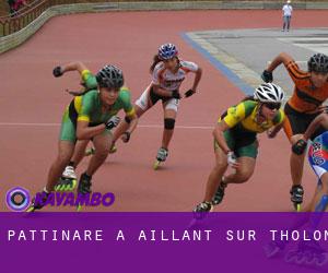 Pattinare a Aillant-sur-Tholon