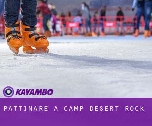 Pattinare a Camp Desert Rock