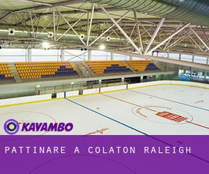 Pattinare a Colaton Raleigh