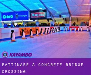 Pattinare a Concrete Bridge Crossing