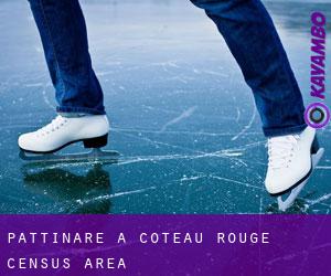 Pattinare a Coteau-Rouge (census area)