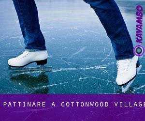 Pattinare a Cottonwood Village