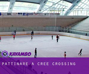 Pattinare a Cree Crossing