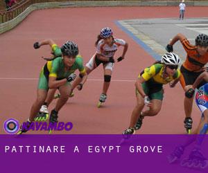 Pattinare a Egypt Grove