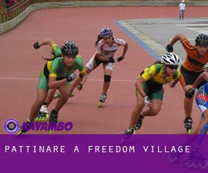Pattinare a Freedom Village