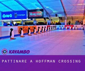Pattinare a Hoffman Crossing