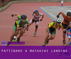Pattinare a Matahiwi Landing
