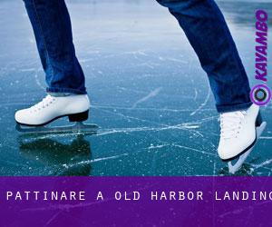 Pattinare a Old Harbor Landing