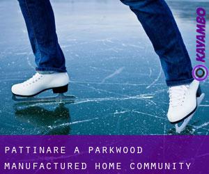Pattinare a Parkwood Manufactured Home Community