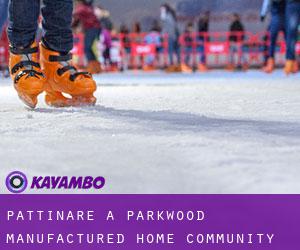 Pattinare a Parkwood Manufactured Home Community